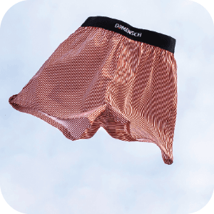 Boxer