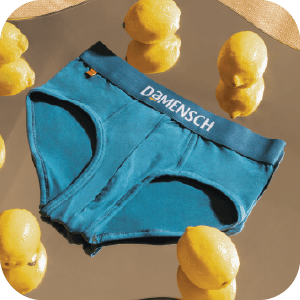 Brief